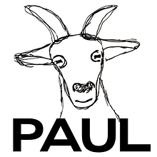 PAUL avatar photo