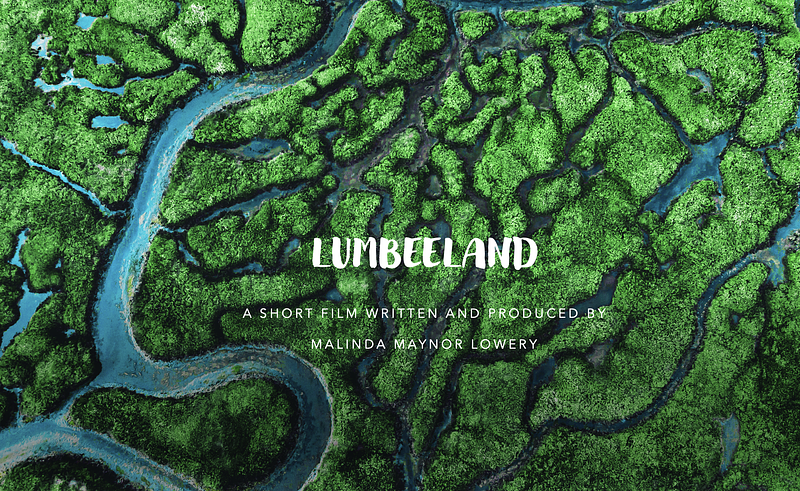 LUMBEELAND: A Strong Start cover photo