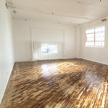 Paloma Street Studio avatar photo