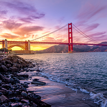 New Piano Collective avatar photo