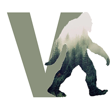 Virtualso Co avatar photo