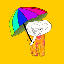 The Chunkos avatar photo