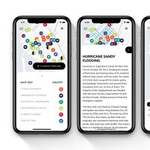 Danielle Russo Performance Project avatar photo