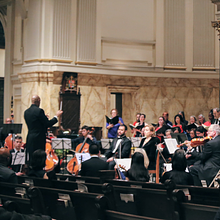 Orchestra Amadeus avatar photo