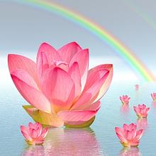 Jupiter Sound & Vision Presents....Void FM avatar photo