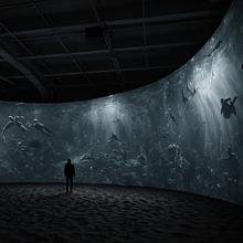 De Profundis Clamavi ad Astra avatar photo