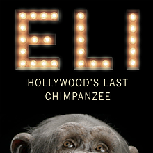 The Last Chimpanzee avatar photo