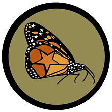 Red Planet Planning Commission avatar photo