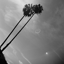 Farewell to the Wind avatar photo