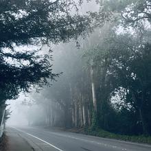 I met the man who wasn’t there. avatar photo