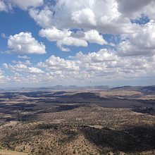 Marfa Community Print avatar photo