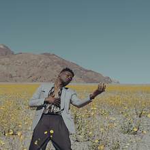 The Instrument / Bee Boy avatar photo