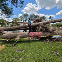 The Heartwood Revival avatar photo