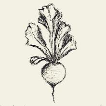 Taproot Creatives avatar photo