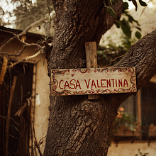 Harvey Fierstein's Casa Valentina, staged at Wellfleet Harbor Actors Theater - May 2026 avatar photo