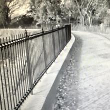 Reservoir Runner / Danika Lives! avatar photo