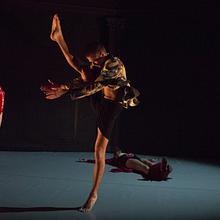 The Invisible Project avatar photo