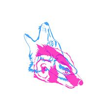 Coyote + Badger Productions avatar photo