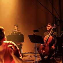 The Eva Steinmetz Project avatar photo