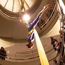 Loki Circus Theater avatar photo