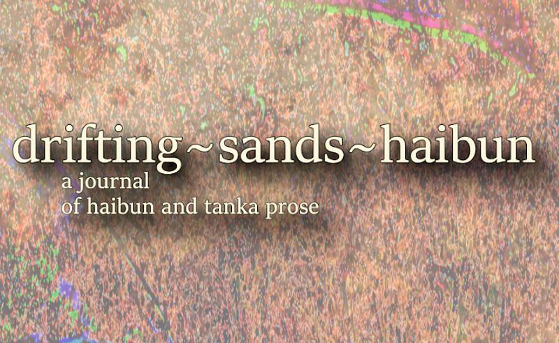 Thank you for Supporting Drifting Sands cover photo