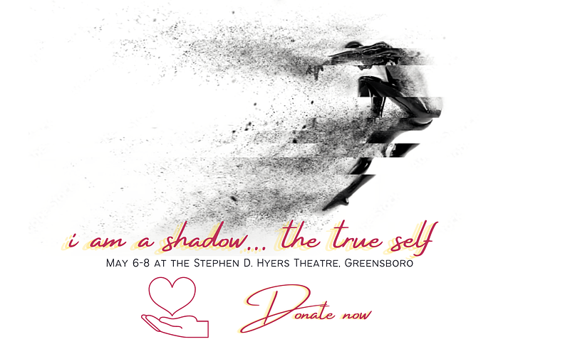 i am a shadow...the true self cover photo