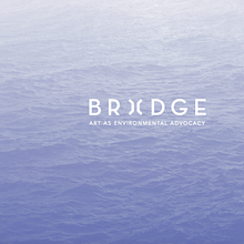 The Bridge Initiative avatar photo