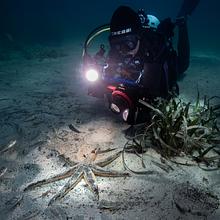 5 Oceans Connective: Stars from the Arctic to Antarctica avatar photo