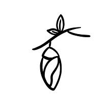 The Chrysalis institute avatar photo