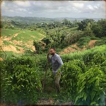 An Uncertain Land avatar photo