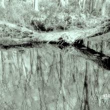 story pond films avatar photo