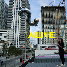 Performance Is Alive avatar photo