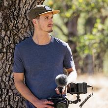 Western Monarch Butterflies: Protecting Our Pollinators avatar photo