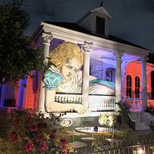 Bywater Wonderland avatar photo