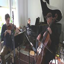 Tonal Refraction avatar photo