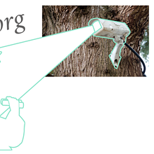 coveillance: demystifying surveillance with arts-based methods avatar photo