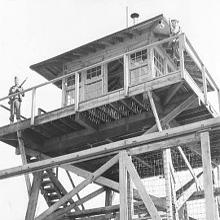 Say Nothing Immigration Initiative avatar photo