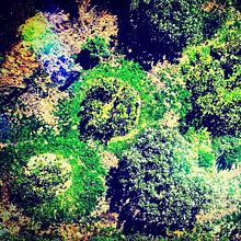 The Living Sculpture Project avatar photo