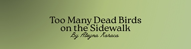 Support "Too Many Dead Birds on the Sidewalk" at the SheNYC Festival cover photo