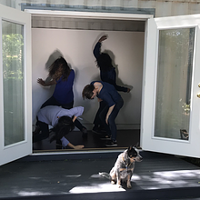 Nicole Livieratos avatar photo