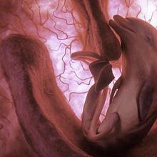 Brian Dolphin & You avatar photo