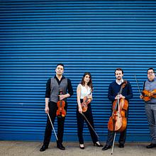 Beo String Quartet avatar photo