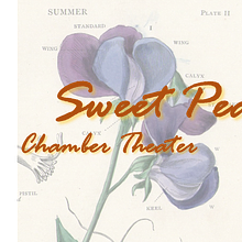 Sweet Pea Chamber Theater avatar photo