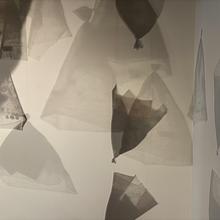 Mourning Flowers: Collective Grief in Response to Mass Violence avatar photo