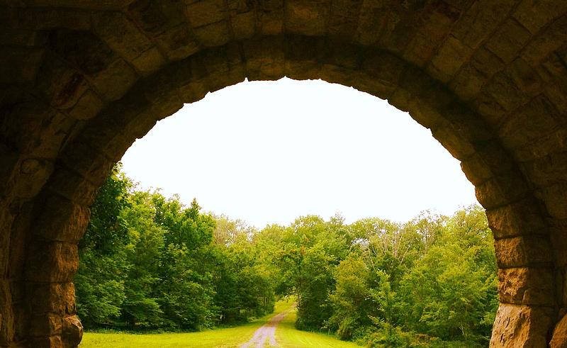 leave no trace theatre 2023-2024 season cover photo