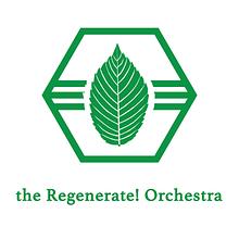 the Regenerate! Orchestra avatar photo