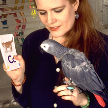 The N'Kisi Institute avatar photo