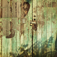 Alexandra Gardner avatar photo