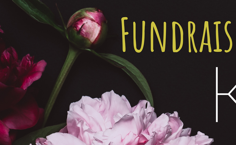 Fundraiser Illuminata  cover photo