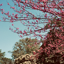 Redbud Writing Project avatar photo